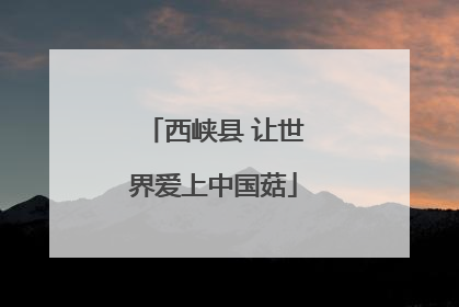 西峡县 让世界爱上中国菇